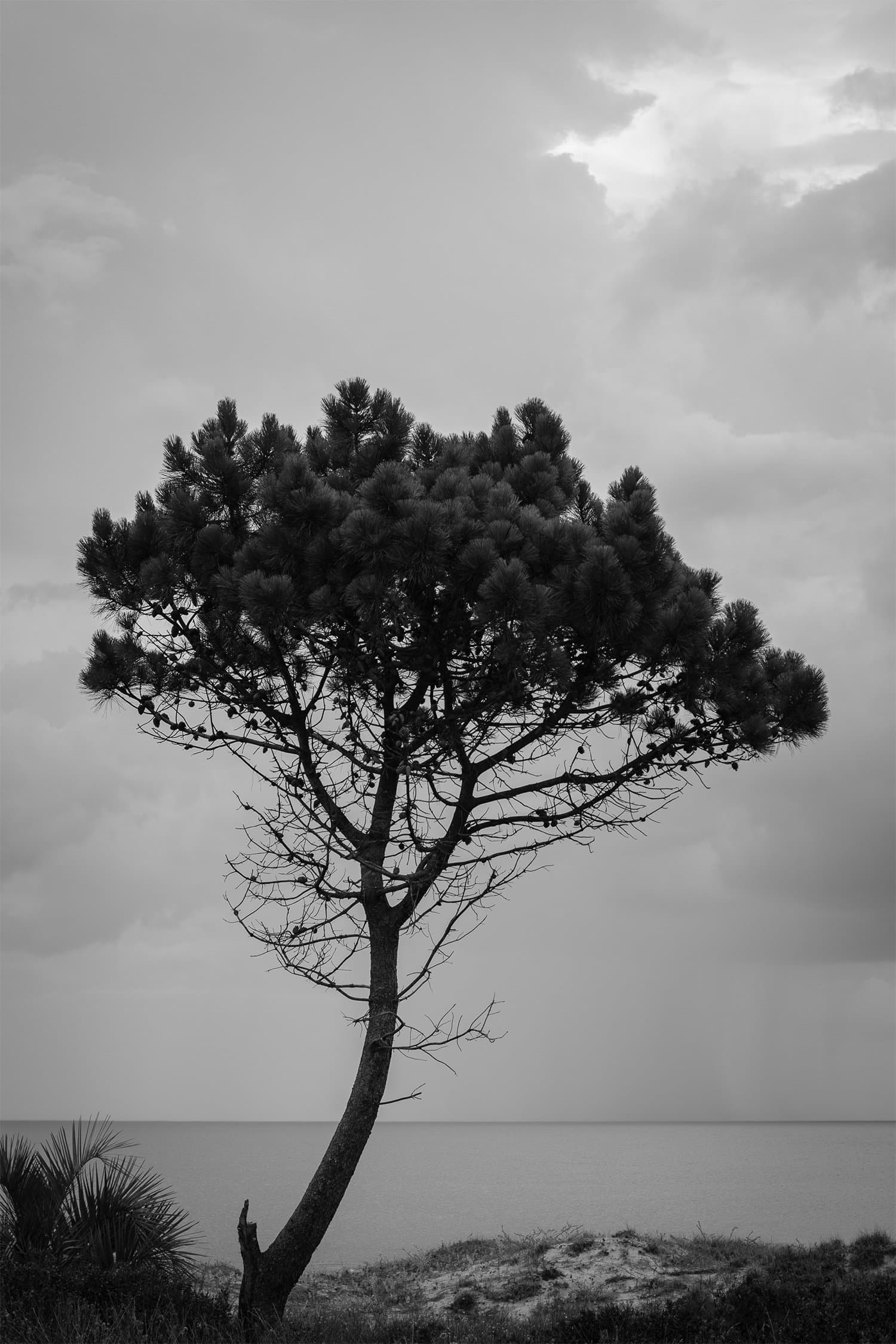 foto Details 4