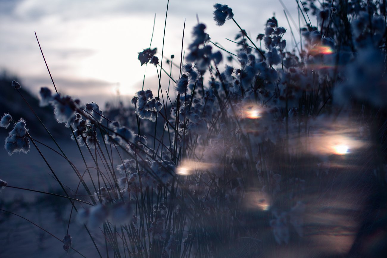 foto Manifestación Onírica 3